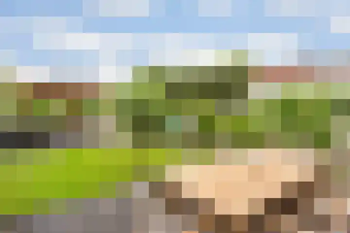 Wildzoom 27 Barneveld thumbnail 21