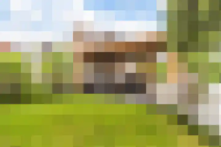 Wildzoom 27 Barneveld thumbnail 22