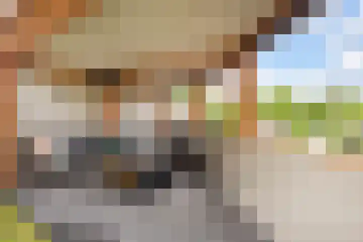 Wildzoom 27 Barneveld thumbnail 24