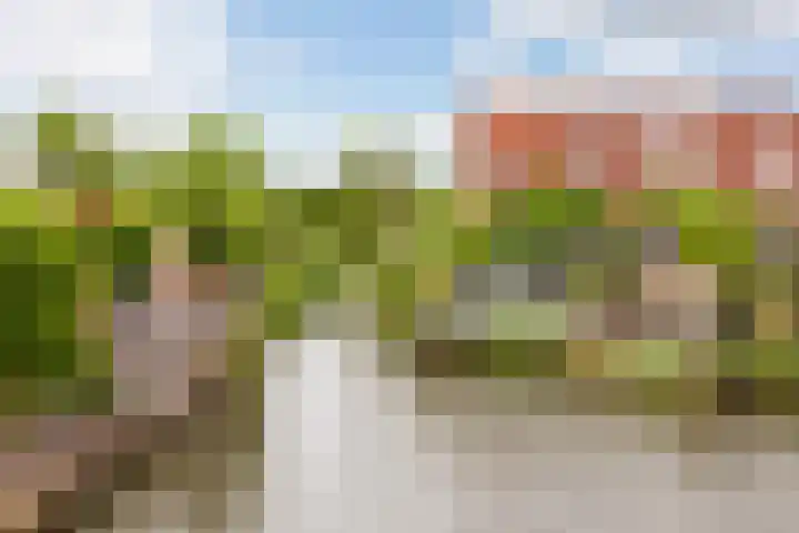 Wildzoom 27 Barneveld thumbnail 28