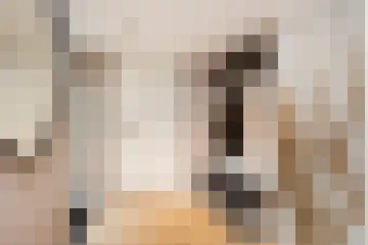 Wildzoom 27 Barneveld thumbnail 31