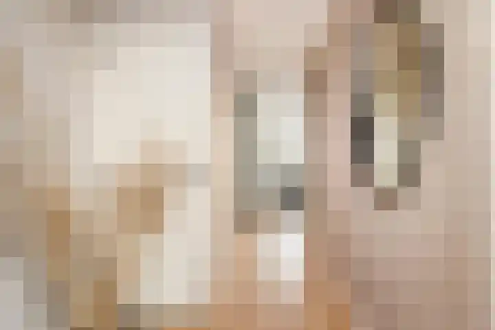 Wildzoom 27 Barneveld thumbnail 32