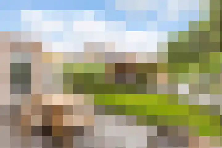 Wildzoom 27 Barneveld thumbnail 4