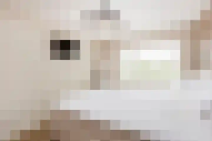 Wildzoom 27 Barneveld thumbnail 42