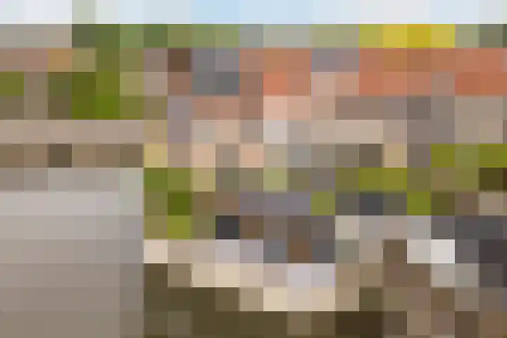 Wildzoom 27 Barneveld thumbnail 5