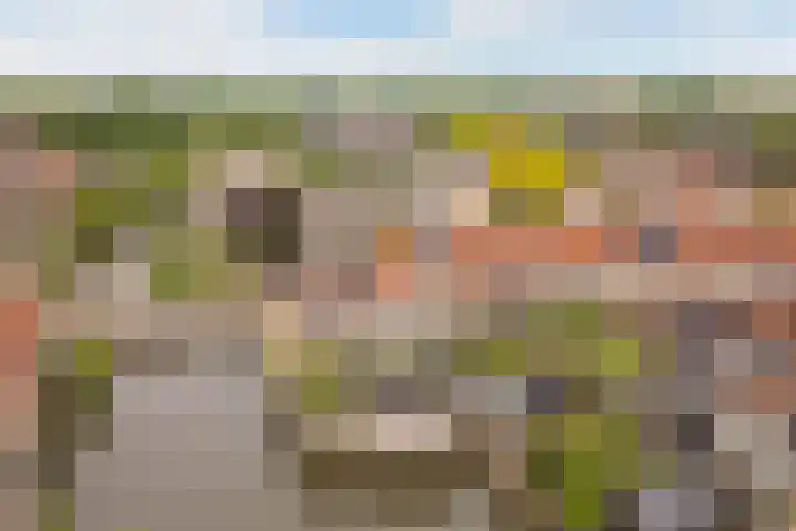 Wildzoom 27 Barneveld thumbnail 52