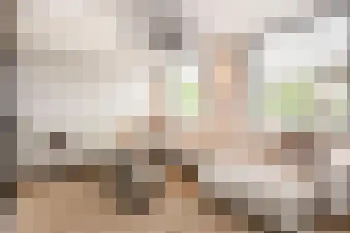 Wildzoom 27 Barneveld thumbnail 8