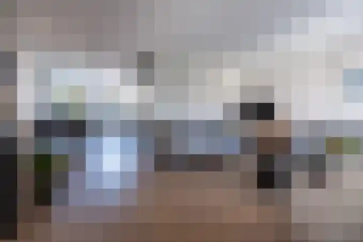 Wildzoom 42 Barneveld thumbnail 10