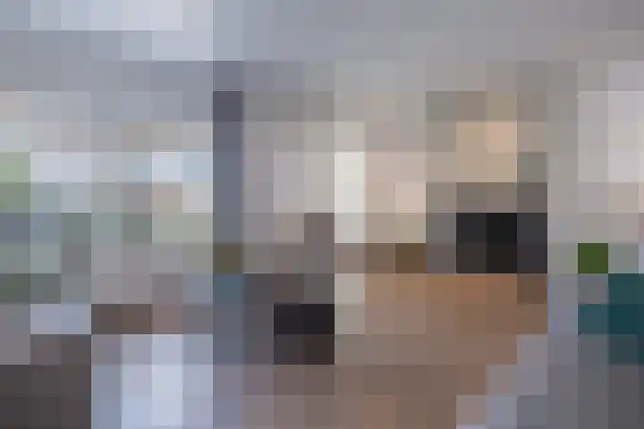 Wildzoom 42 Barneveld thumbnail 12