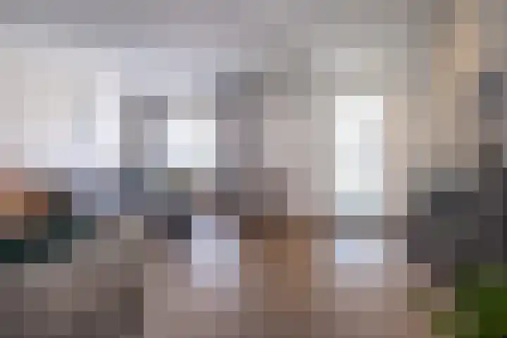 Wildzoom 42 Barneveld thumbnail 15