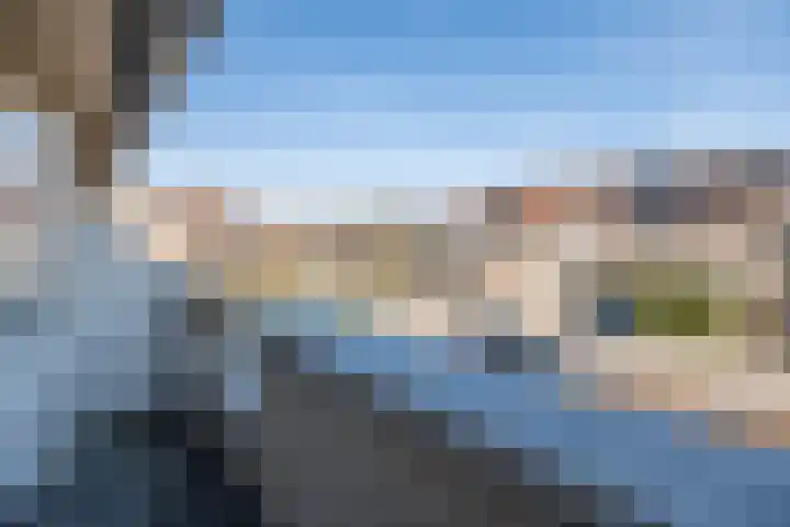Wildzoom 42 Barneveld thumbnail 22