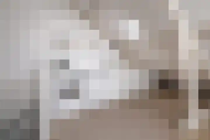 Wildzoom 42 Barneveld thumbnail 30
