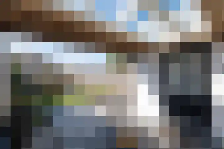 Wildzoom 42 Barneveld thumbnail 33