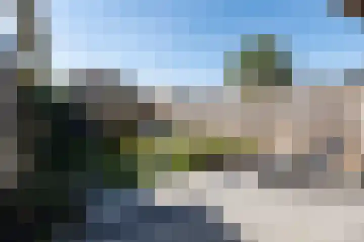 Wildzoom 42 Barneveld thumbnail 35