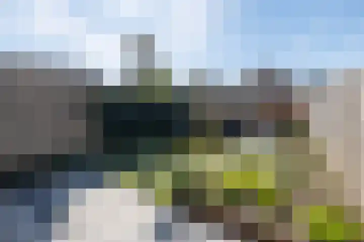 Wildzoom 42 Barneveld thumbnail 36