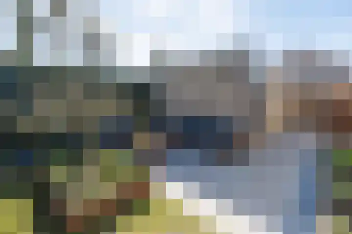 Wildzoom 42 Barneveld thumbnail 38