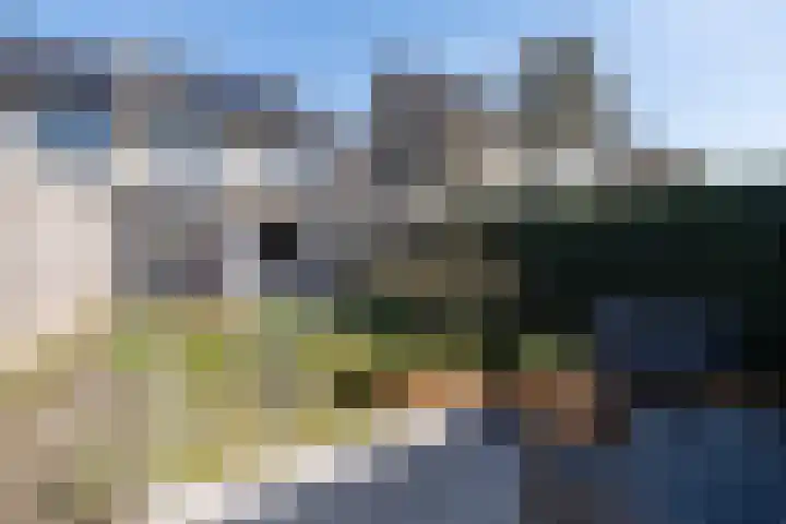 Wildzoom 42 Barneveld thumbnail 39