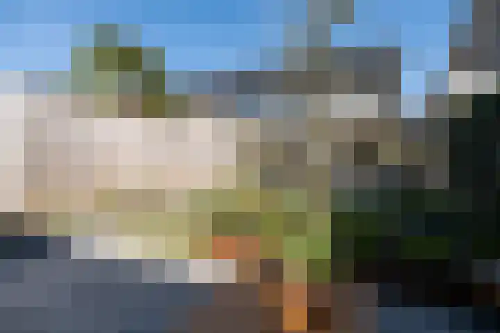 Wildzoom 42 Barneveld thumbnail 40