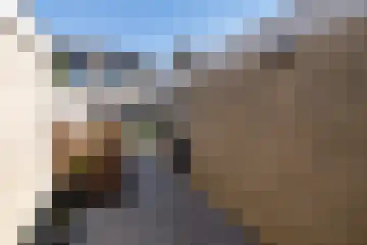 Wildzoom 42 Barneveld thumbnail 41