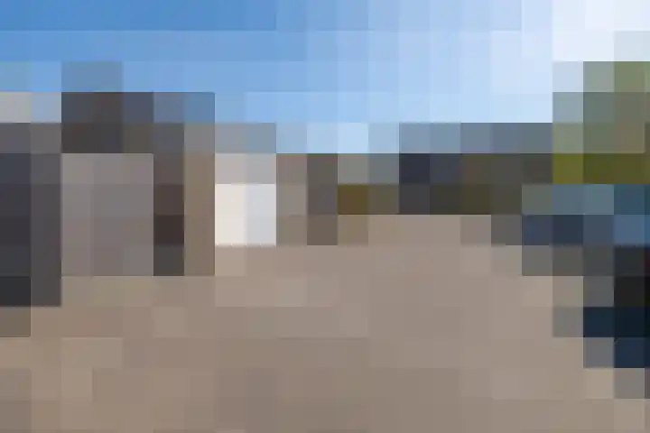 Wildzoom 42 Barneveld thumbnail 45