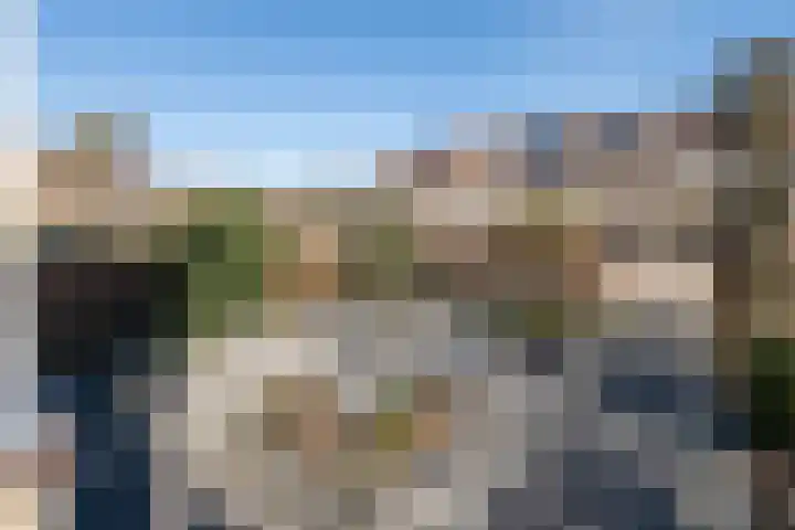Wildzoom 42 Barneveld thumbnail 46