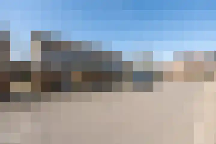 Wildzoom 42 Barneveld thumbnail 50