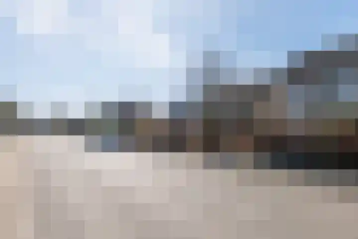 Wildzoom 42 Barneveld thumbnail 51