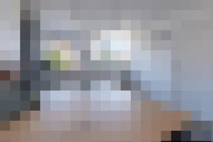 Wildzoom 42 Barneveld thumbnail 8