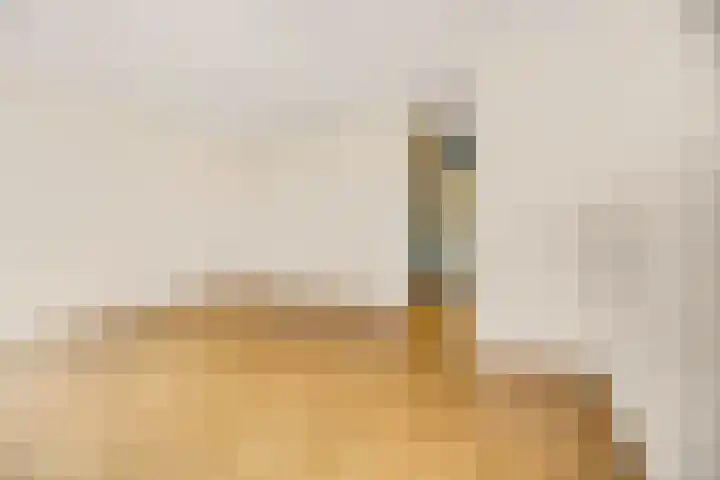 Wildzoom 63 Barneveld thumbnail 17