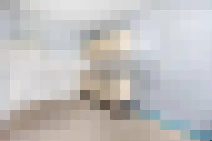 Wildzoom 63 Barneveld thumbnail 20