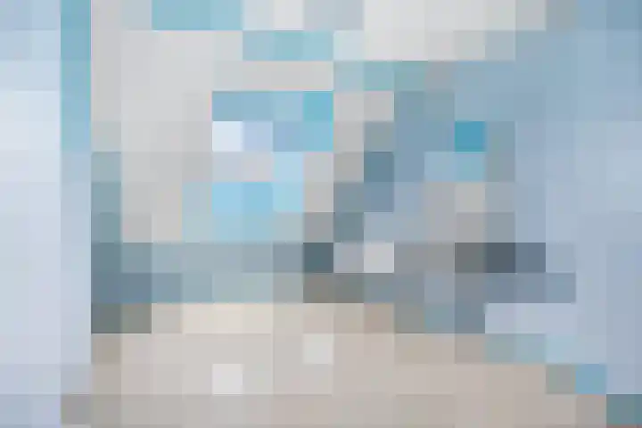 Wildzoom 63 Barneveld thumbnail 27