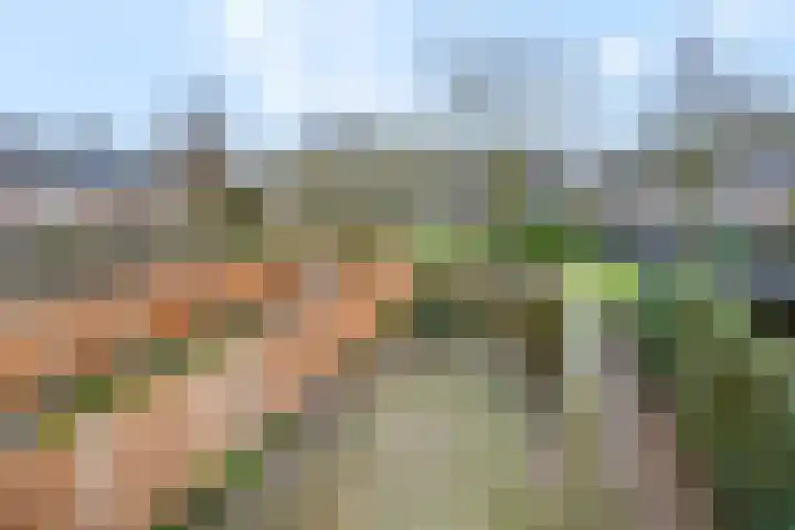 Wildzoom 63 Barneveld thumbnail 34
