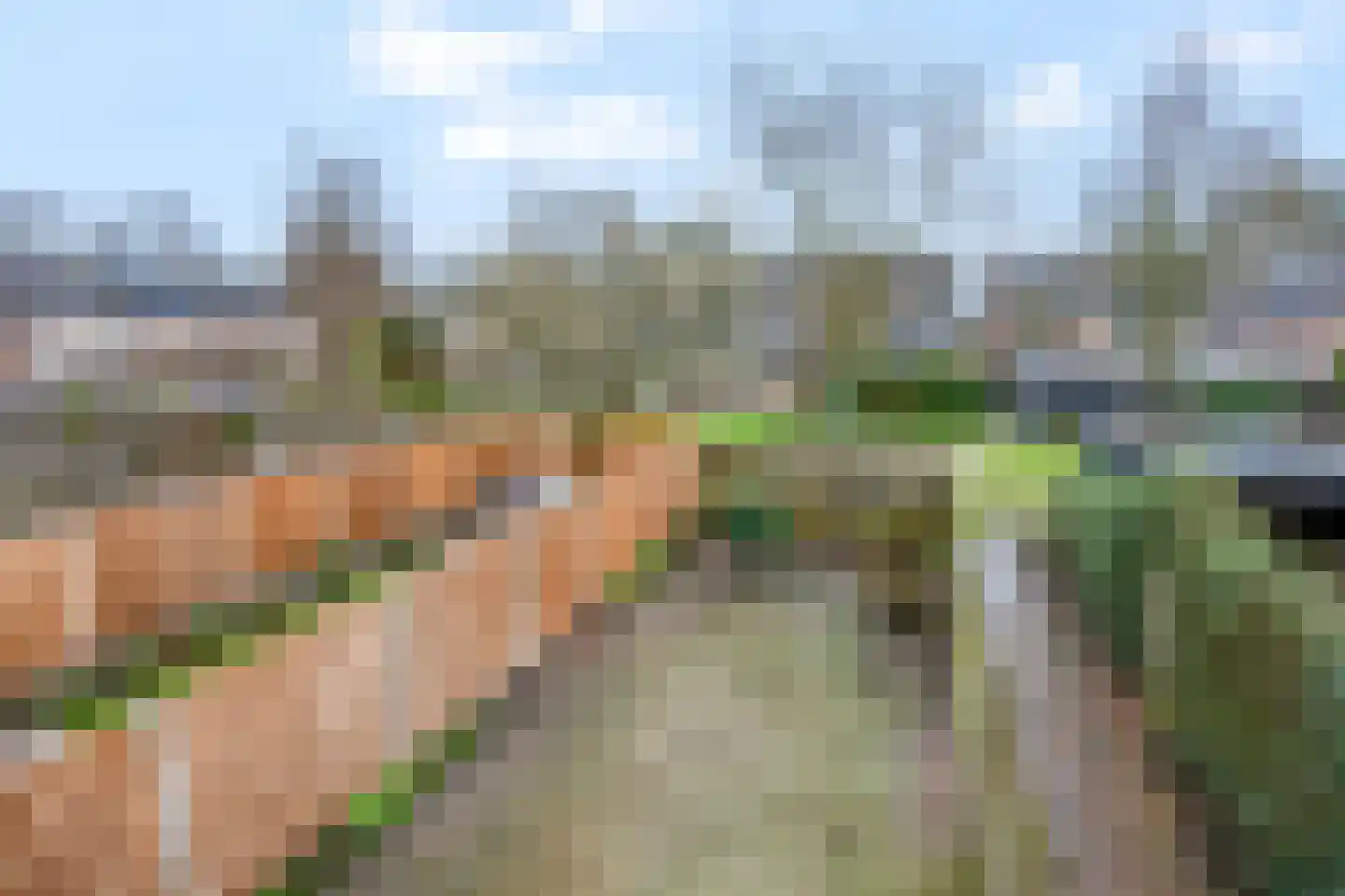Wildzoom 63 Barneveld thumbnail 34
