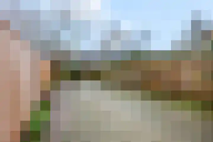 Wildzoom 63 Barneveld thumbnail 35