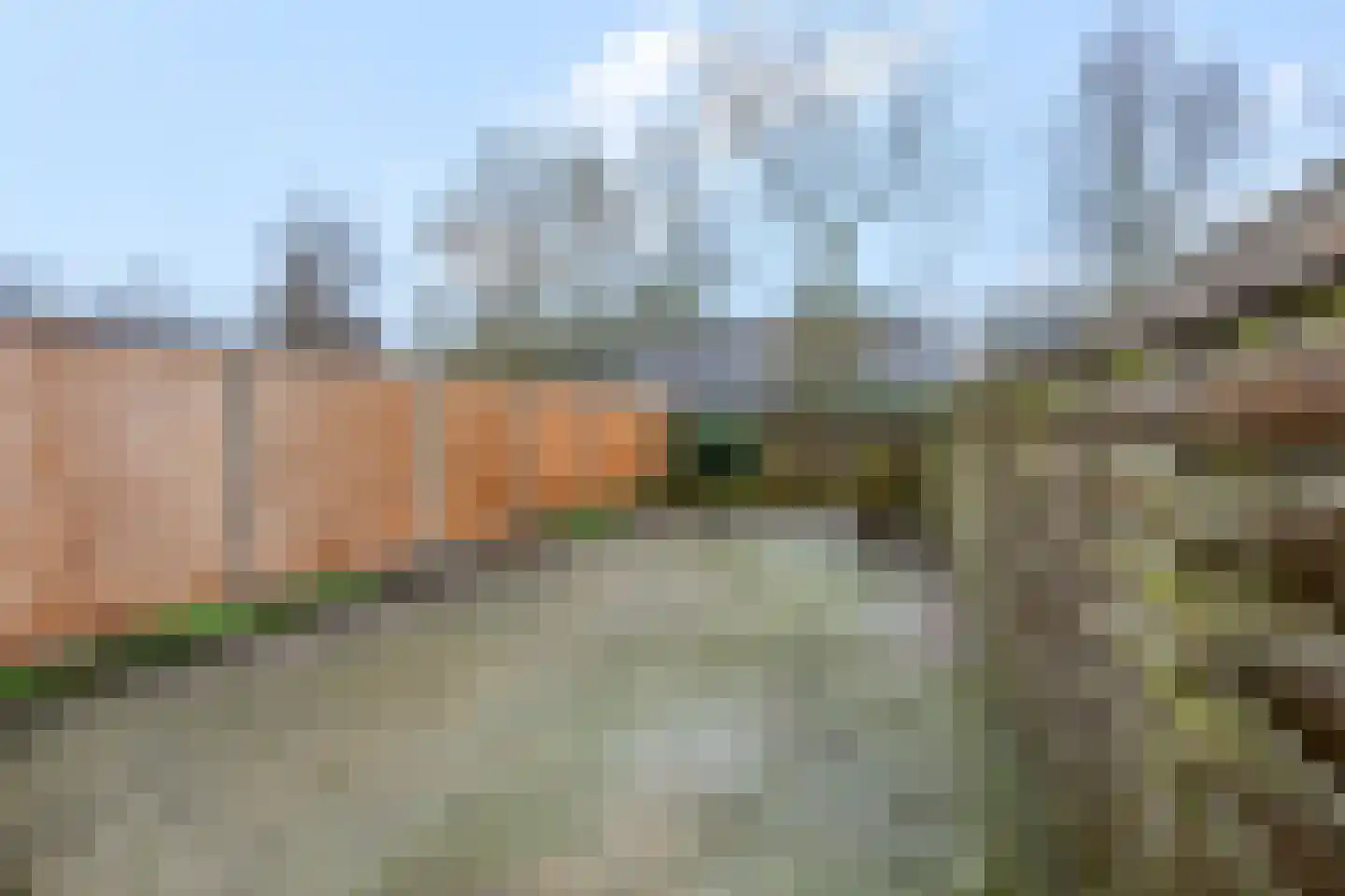 Wildzoom 63 Barneveld thumbnail 36