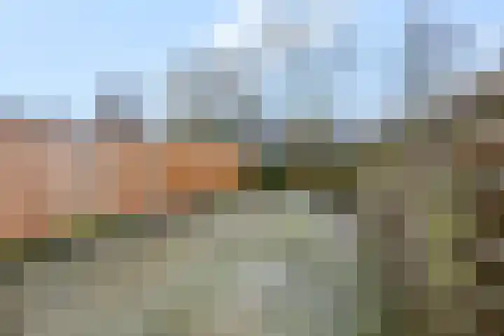 Wildzoom 63 Barneveld thumbnail 36