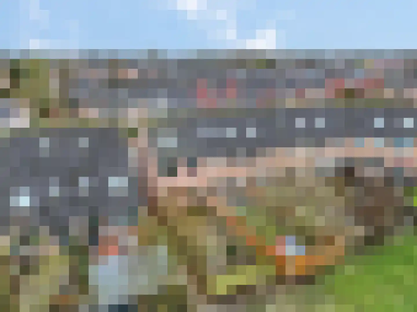 Wildzoom 63 Barneveld thumbnail 40