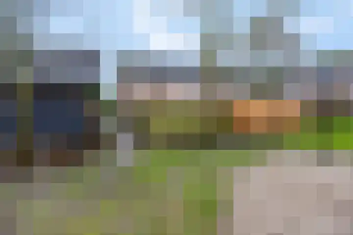 Wildzoom 63 Barneveld thumbnail 45