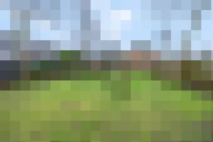 Wildzoom 63 Barneveld thumbnail 47