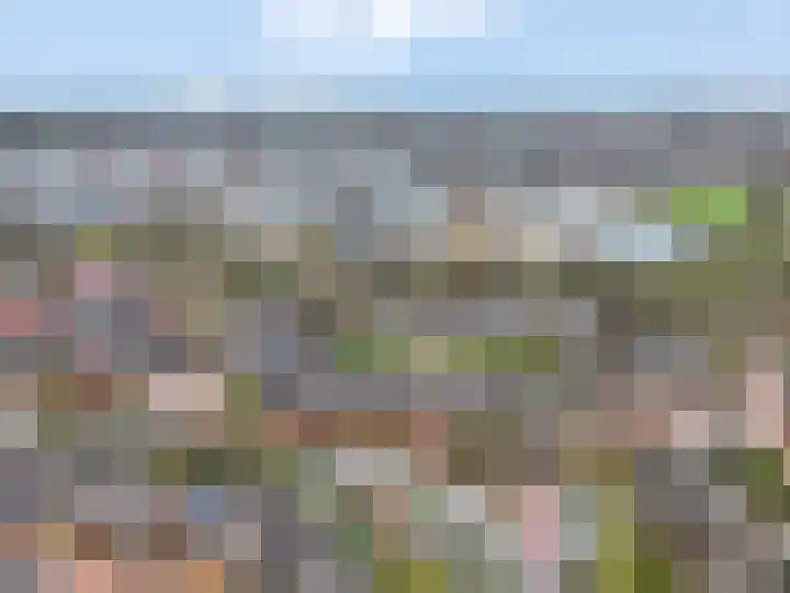 Wildzoom 63 Barneveld thumbnail 48