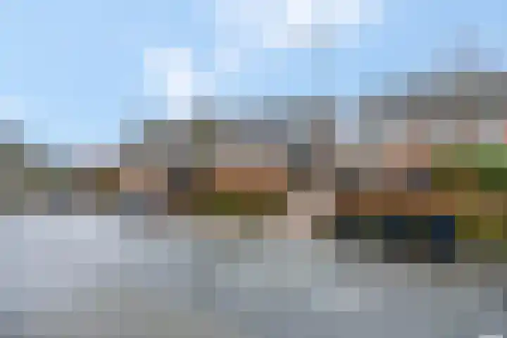 Wildzoom 63 Barneveld thumbnail 7