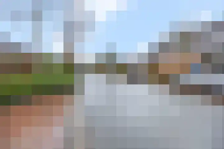 Wildzoom 63 Barneveld thumbnail 8