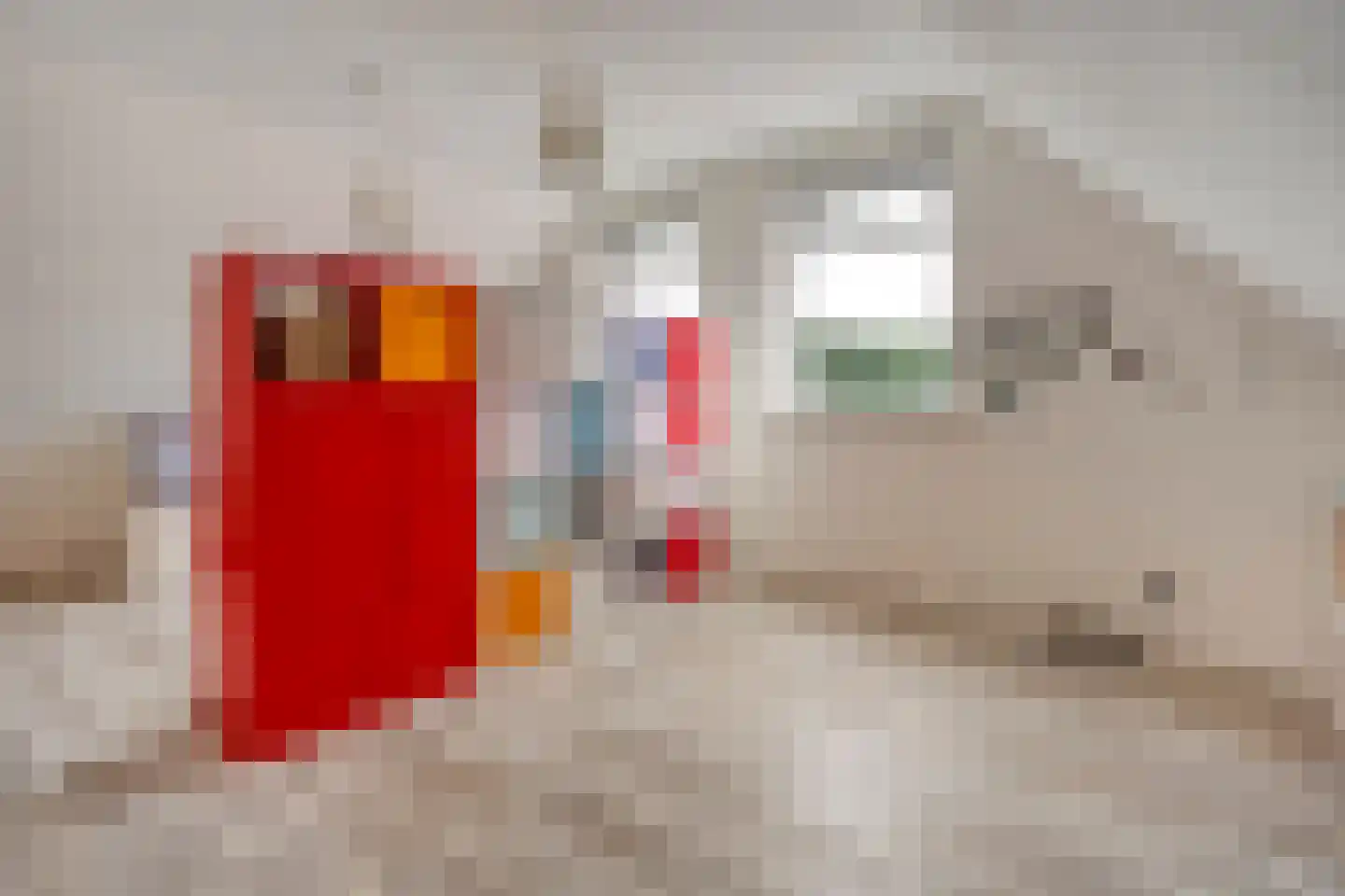 Wilfred Stillweg 11 a Hollandscheveld thumbnail 33