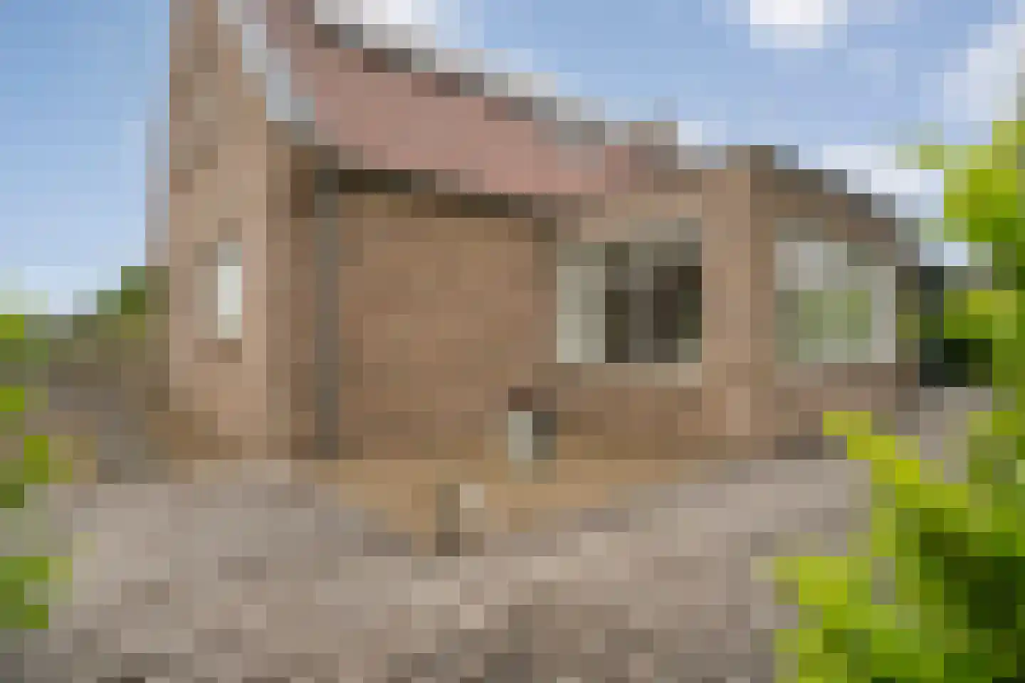 Wilfred Stillweg 11 a Hollandscheveld thumbnail 36