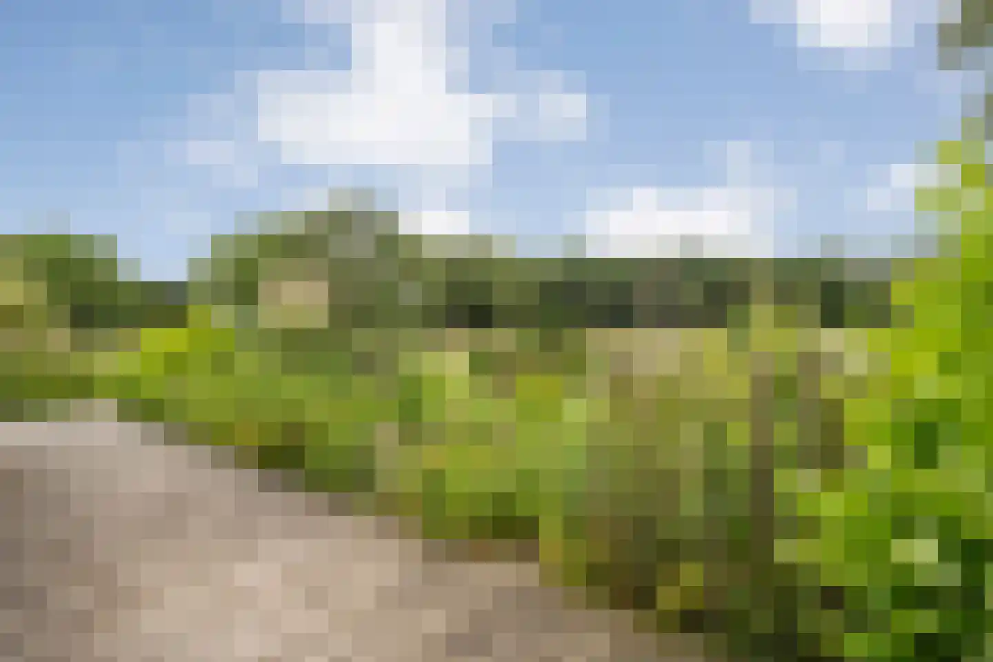 Wilfred Stillweg 11 a Hollandscheveld thumbnail 39