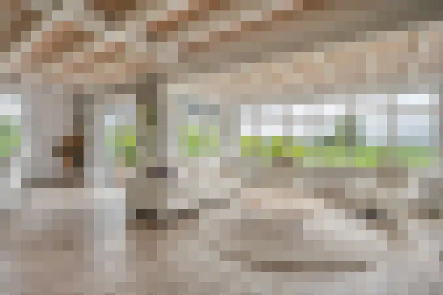 Wilfred Stillweg 11 a Hollandscheveld thumbnail 4