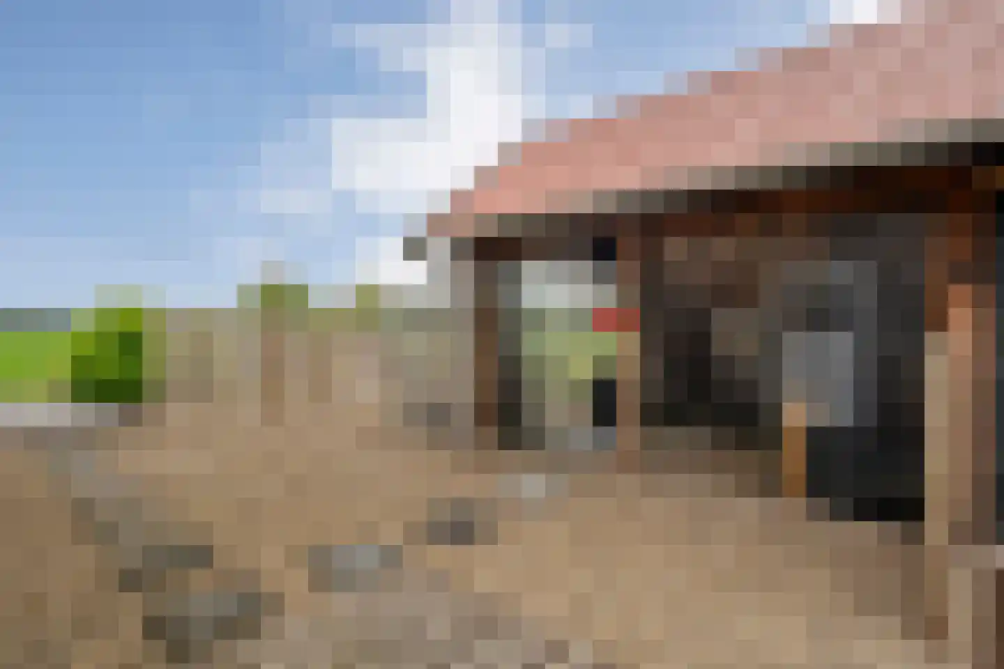 Wilfred Stillweg 11 a Hollandscheveld thumbnail 42