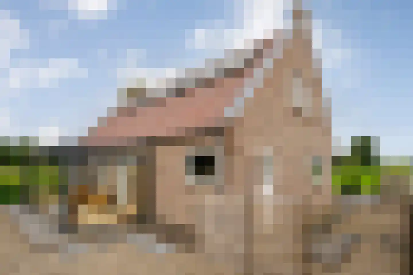 Wilfred Stillweg 11 a Hollandscheveld thumbnail 52