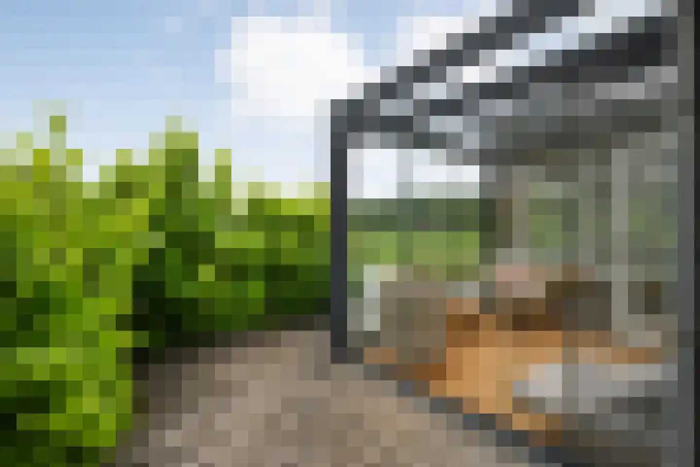 Wilfred Stillweg 11 a Hollandscheveld thumbnail 53