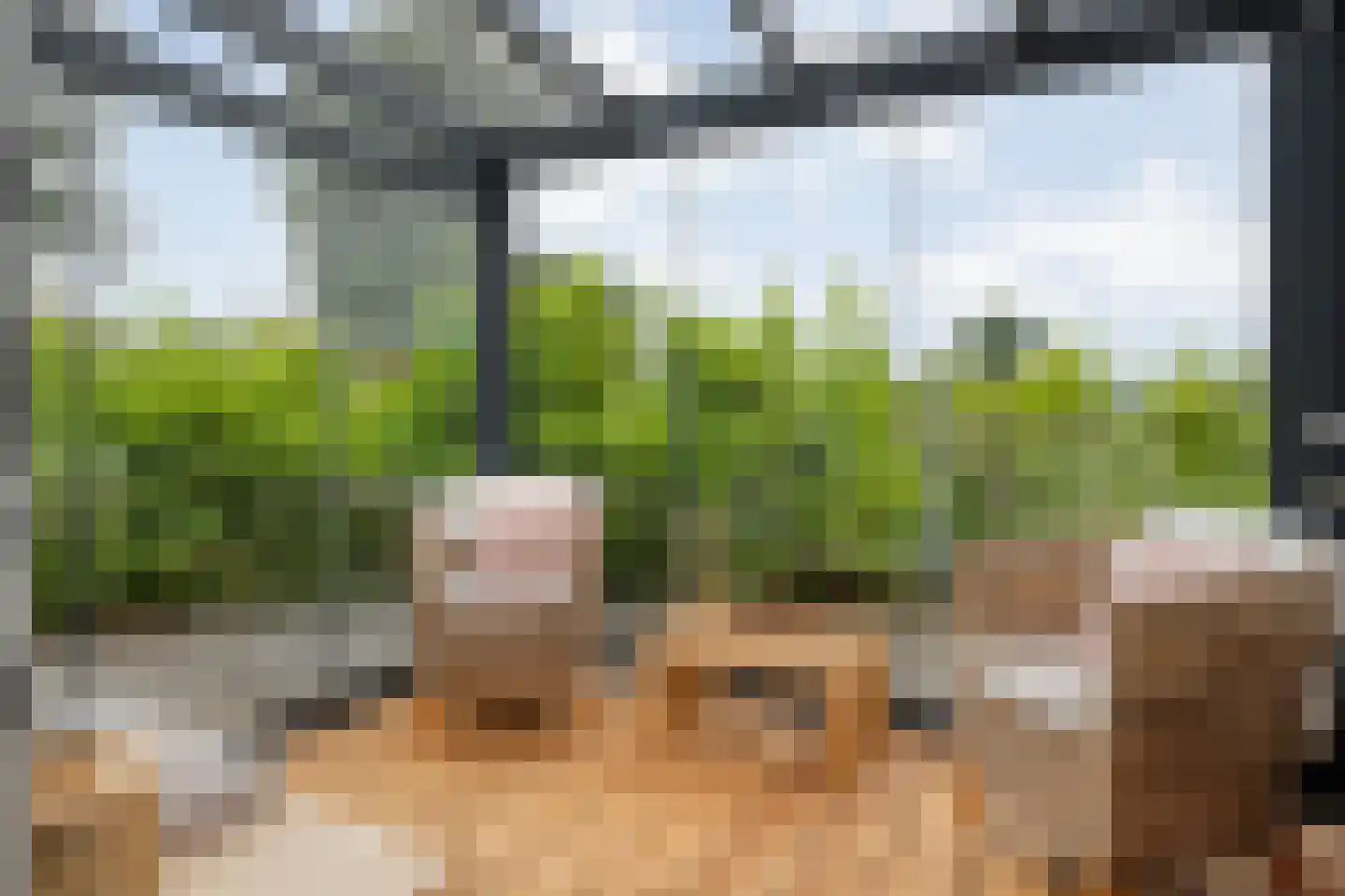 Wilfred Stillweg 11 a Hollandscheveld thumbnail 8